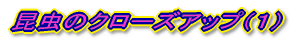 �����̃N���[�Y�A�b�v�i�P�j