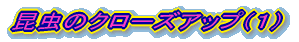 �����̃N���[�Y�A�b�v�i�P�j